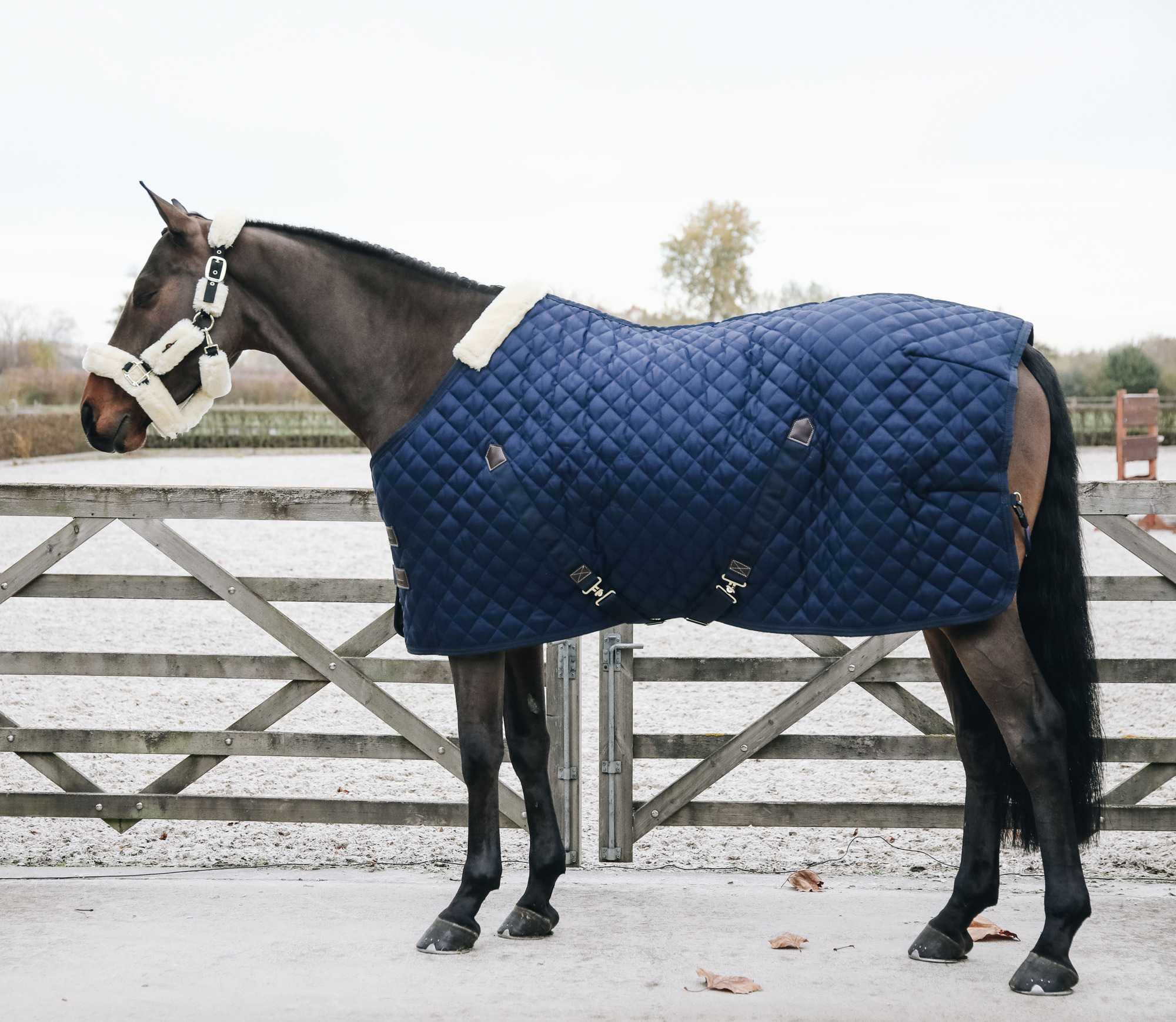 Kentucky Stable Rug 400g
