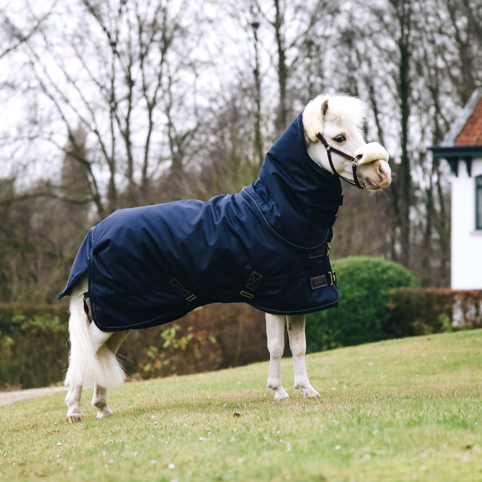 Kentucky Winter Rug All-Weather Waterproof Pro 300g Tiny