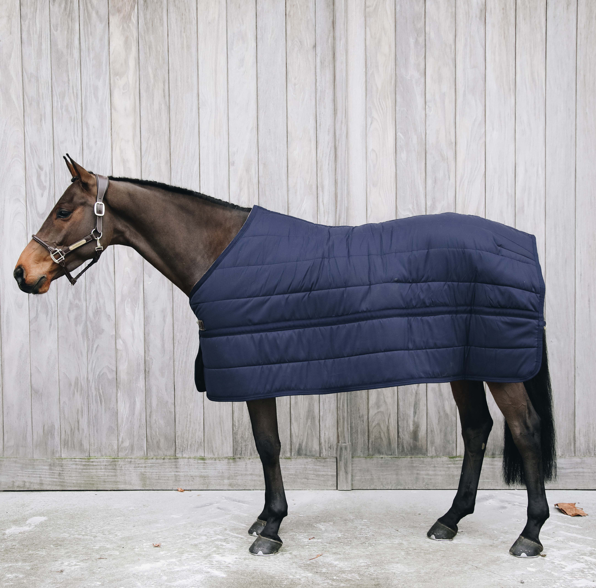 Kentucky Under Rug Skin Friendly 150g