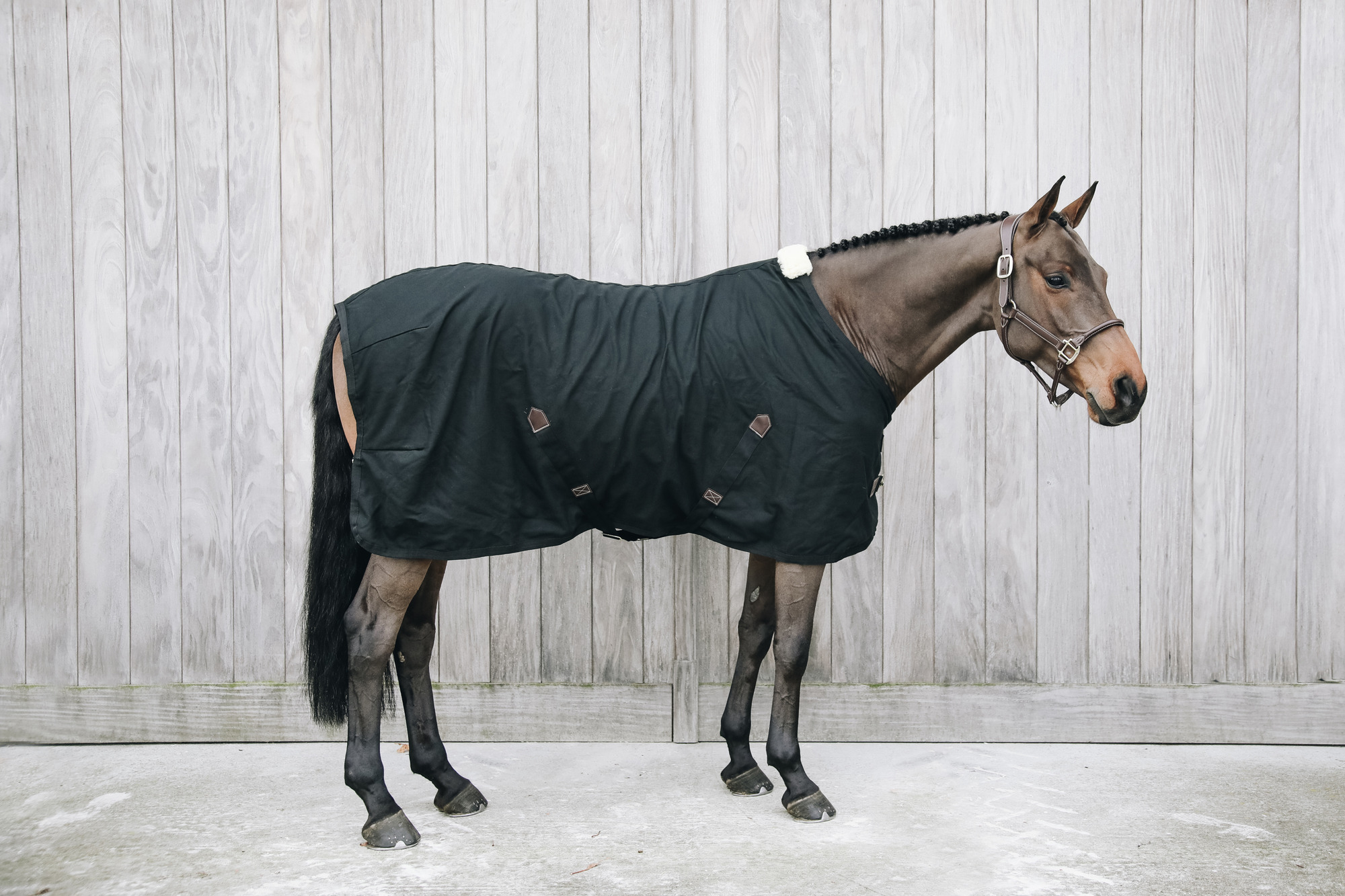 Kentucky Cotton Sheet Sommerdecke