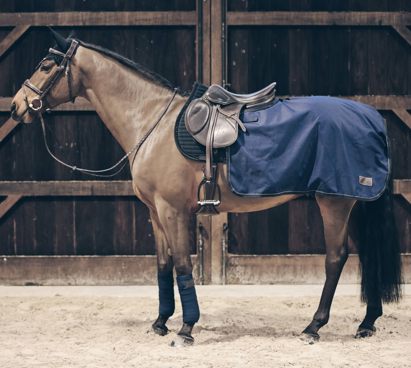 Kentucky Quarter Rug All Weather Navy 160g