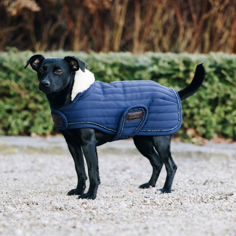 Kentucky Hundedecke Pearls