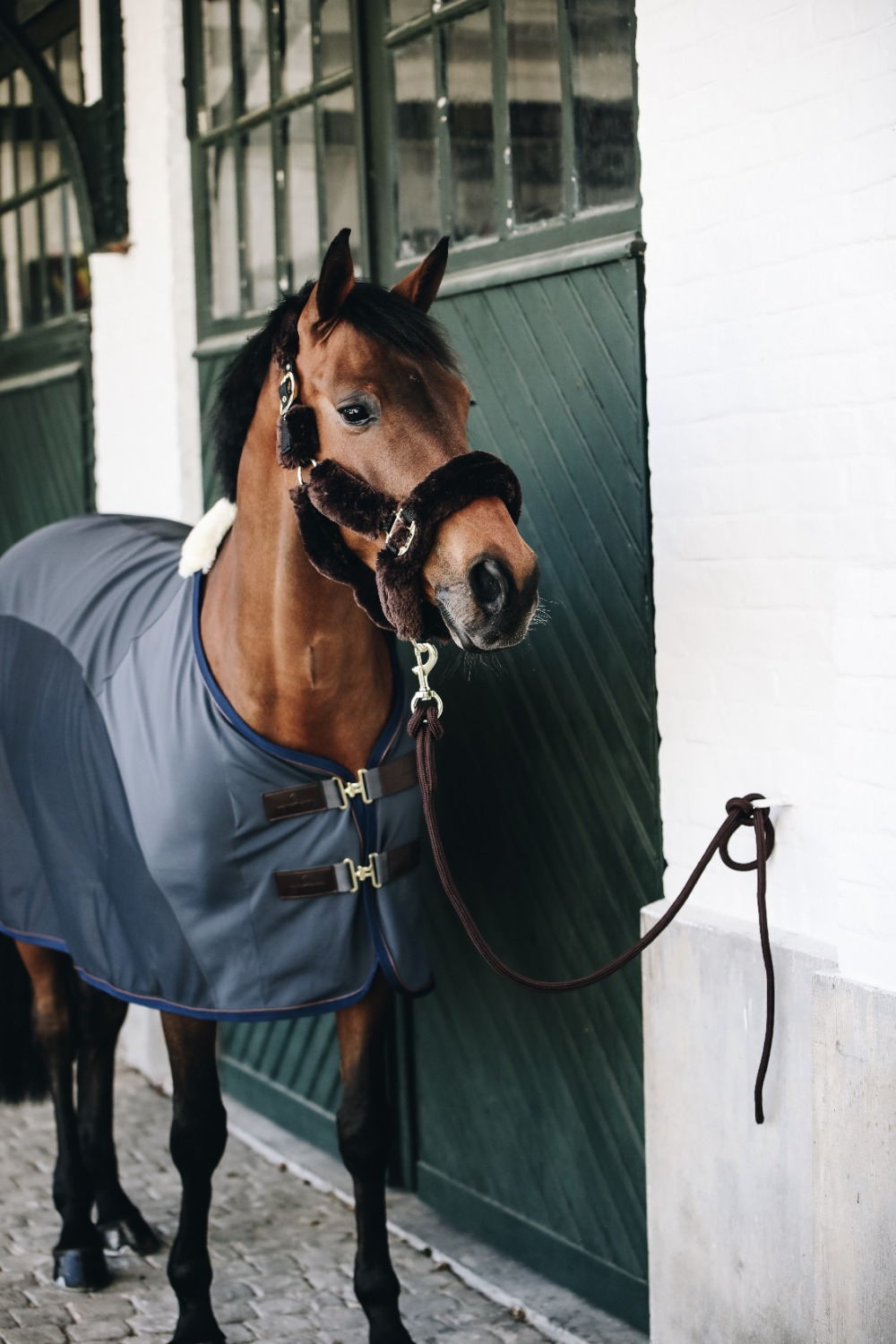 Kentucky Softshell Cooler rug Navy