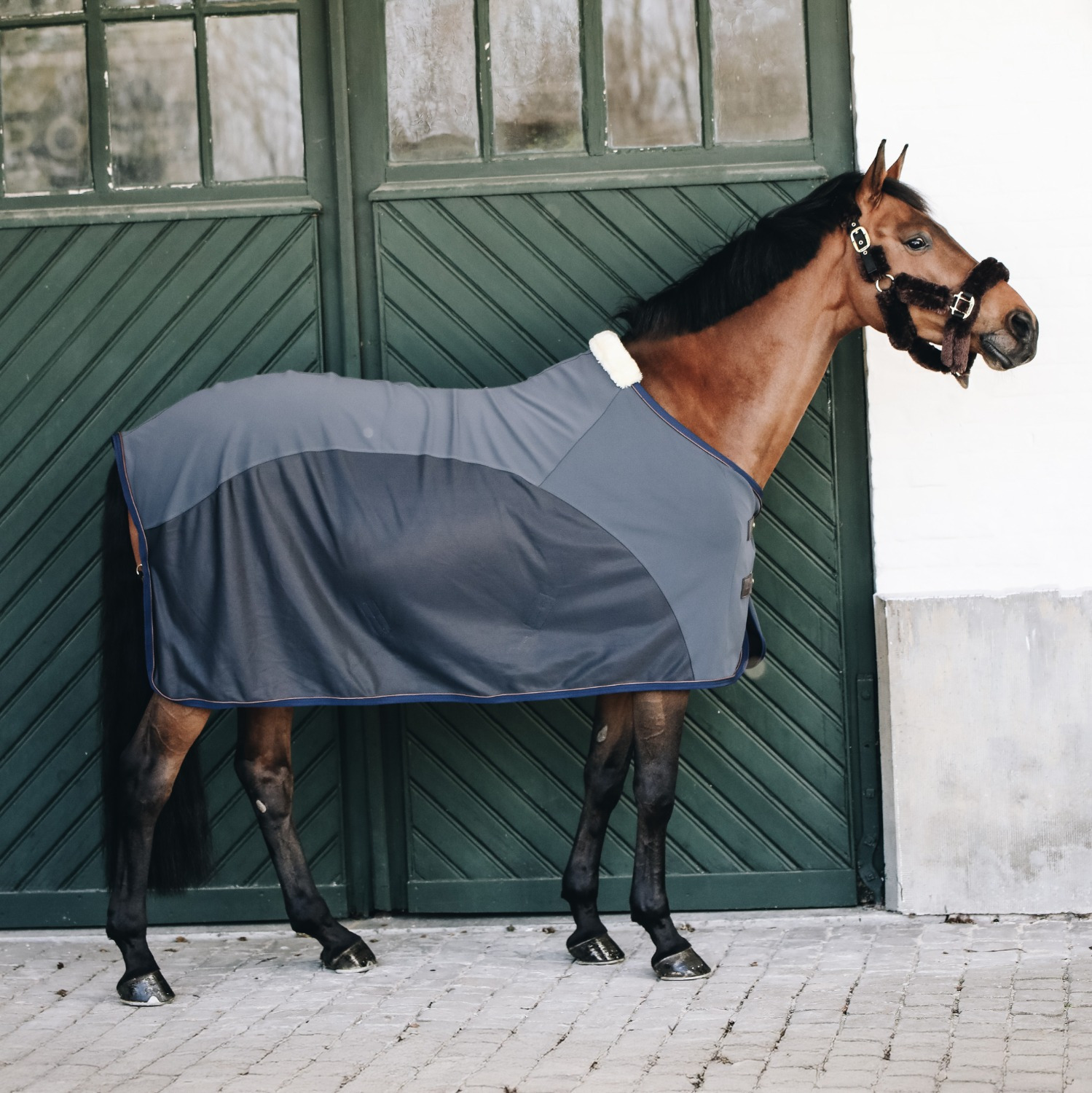 Kentucky Softshell Cooler rug Navy