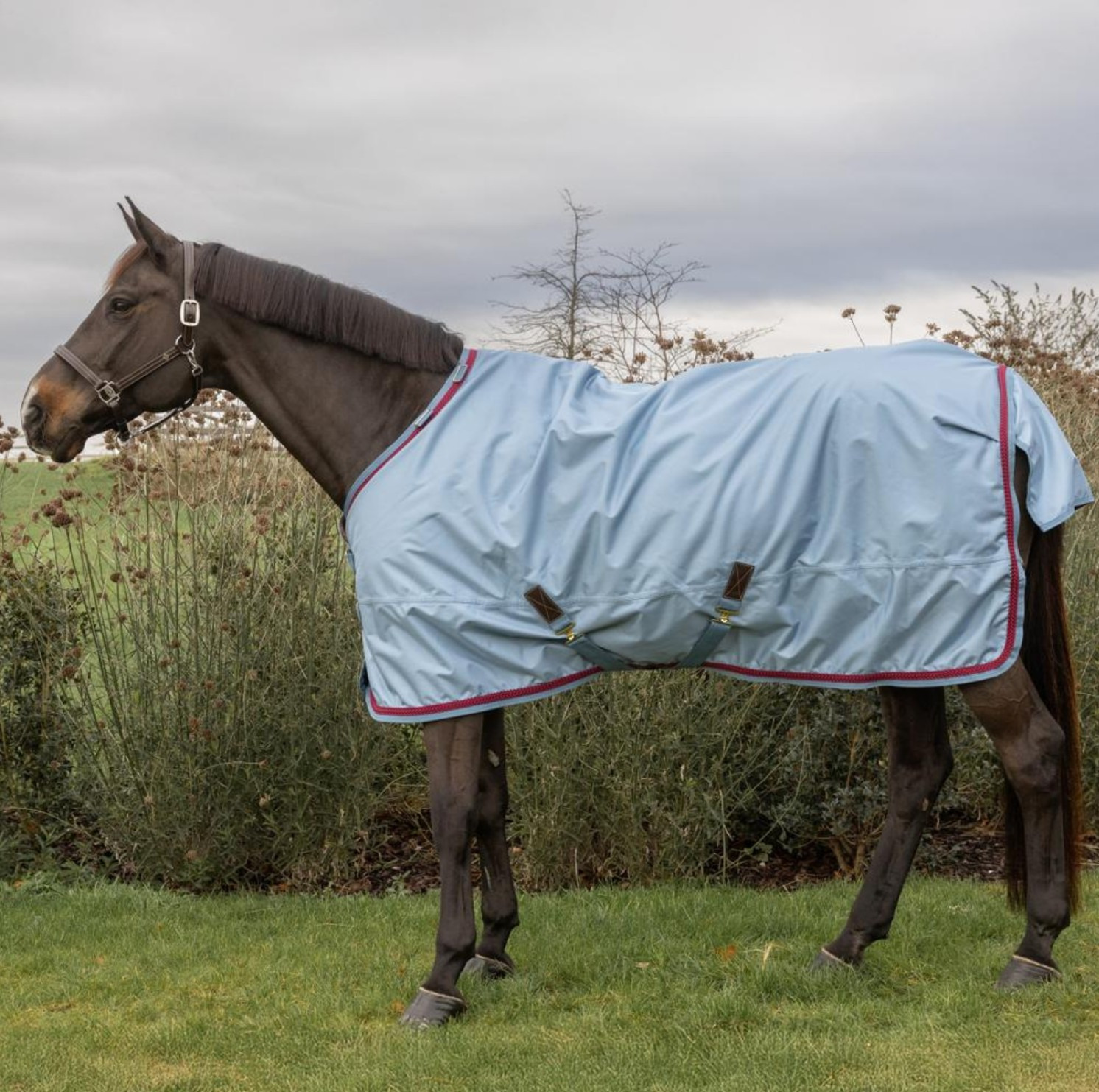 Kentucky Winterdecke All-weather Waterproof Pro 160g Denim