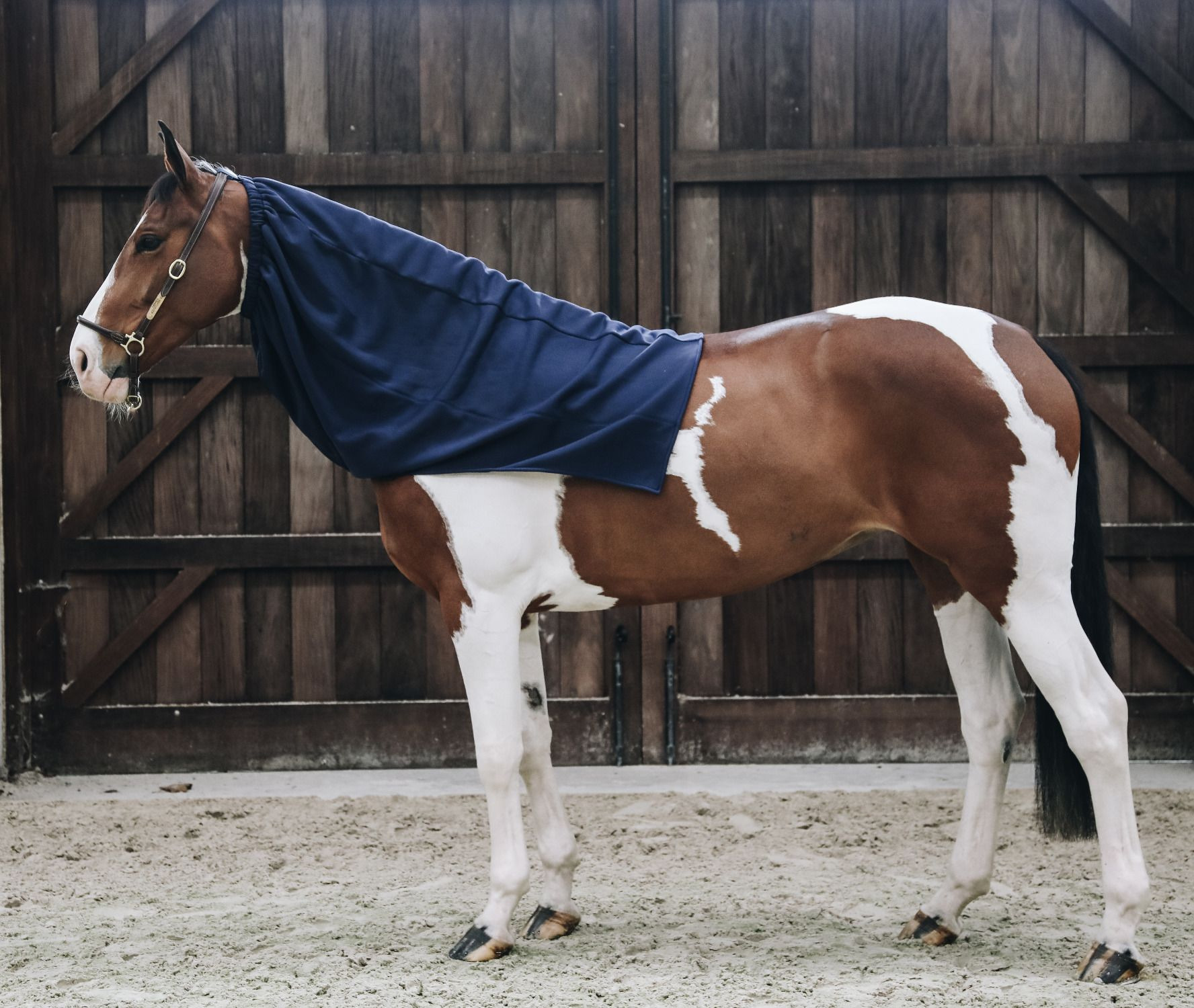 Kentucky Cooler Fleece Neck Piece