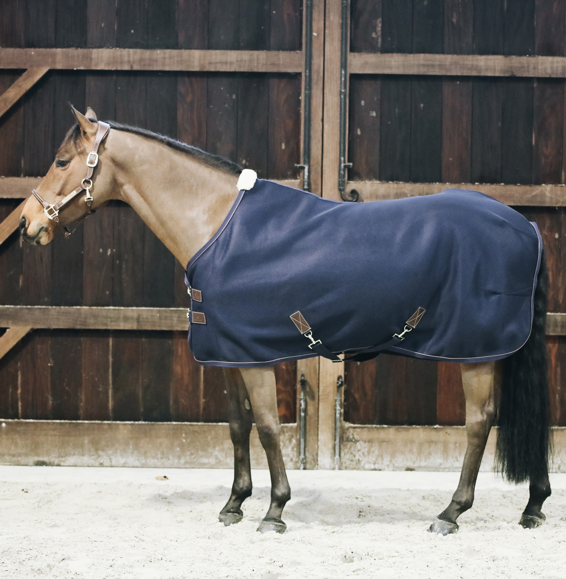 Kentucky 3D Spacer Cooler rug navy