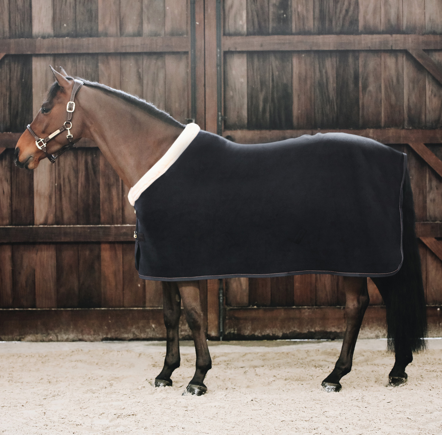 Kentucky Fleece Show Rug Heavy Black