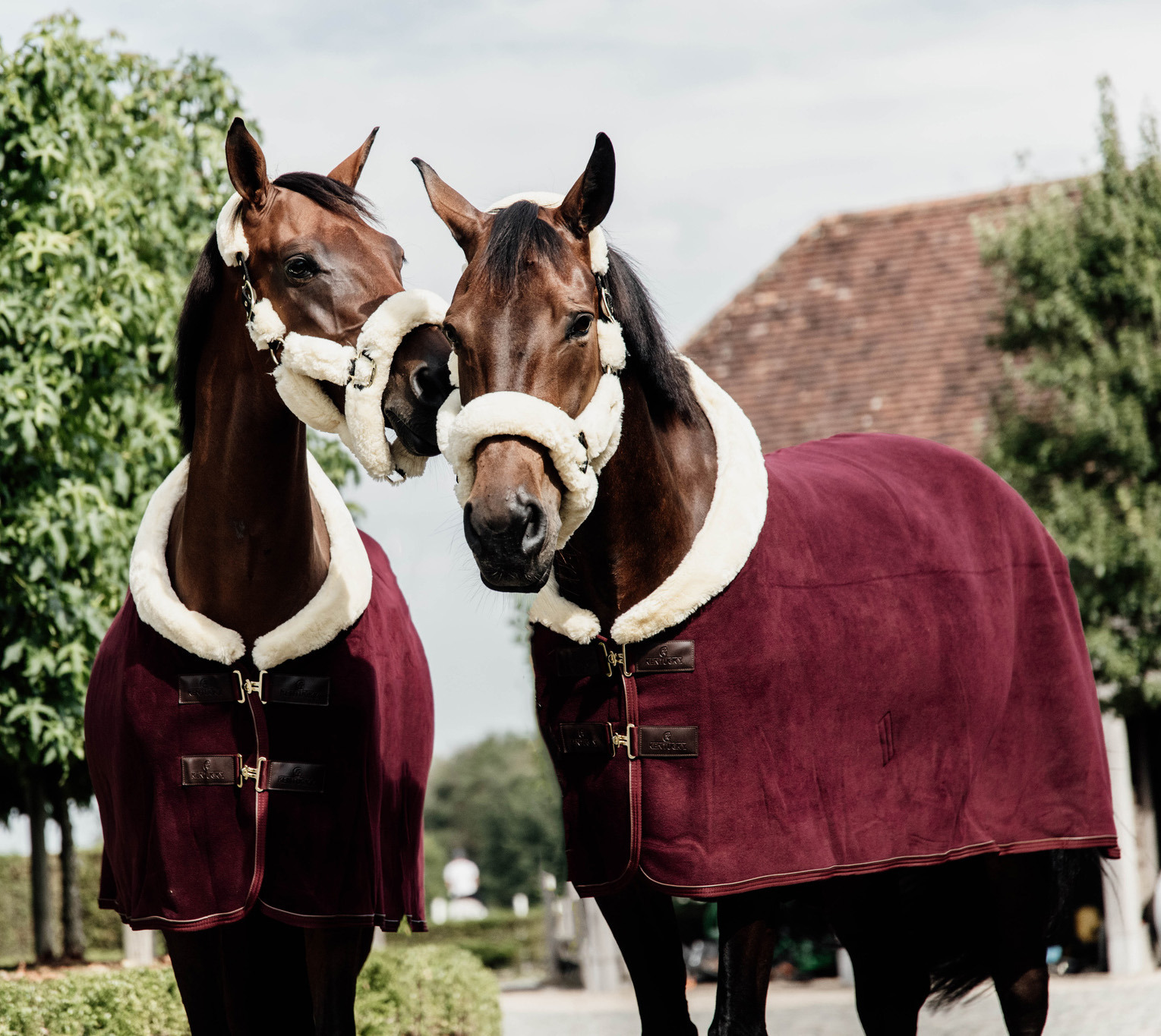 Kentucky Fleece Show Rug Heavy Bordeaux