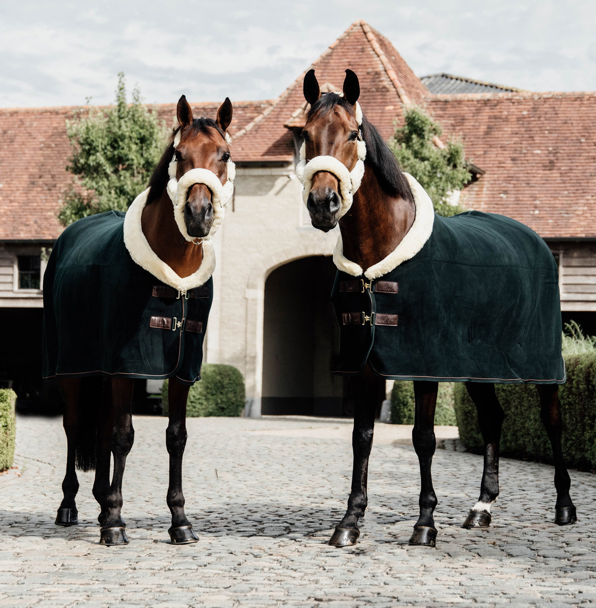 Kentucky Fleece Rug Show Heavy Dark Green
