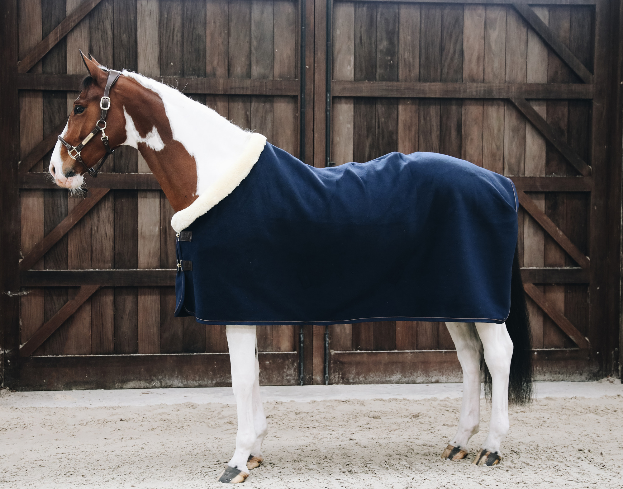 Kentucky Abschwitzdecke Show Heavy Navy