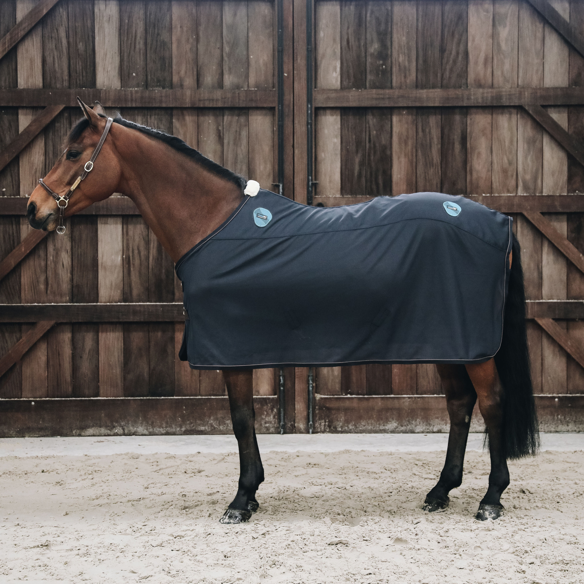 Kentucky Magnetic Recuptex Rug