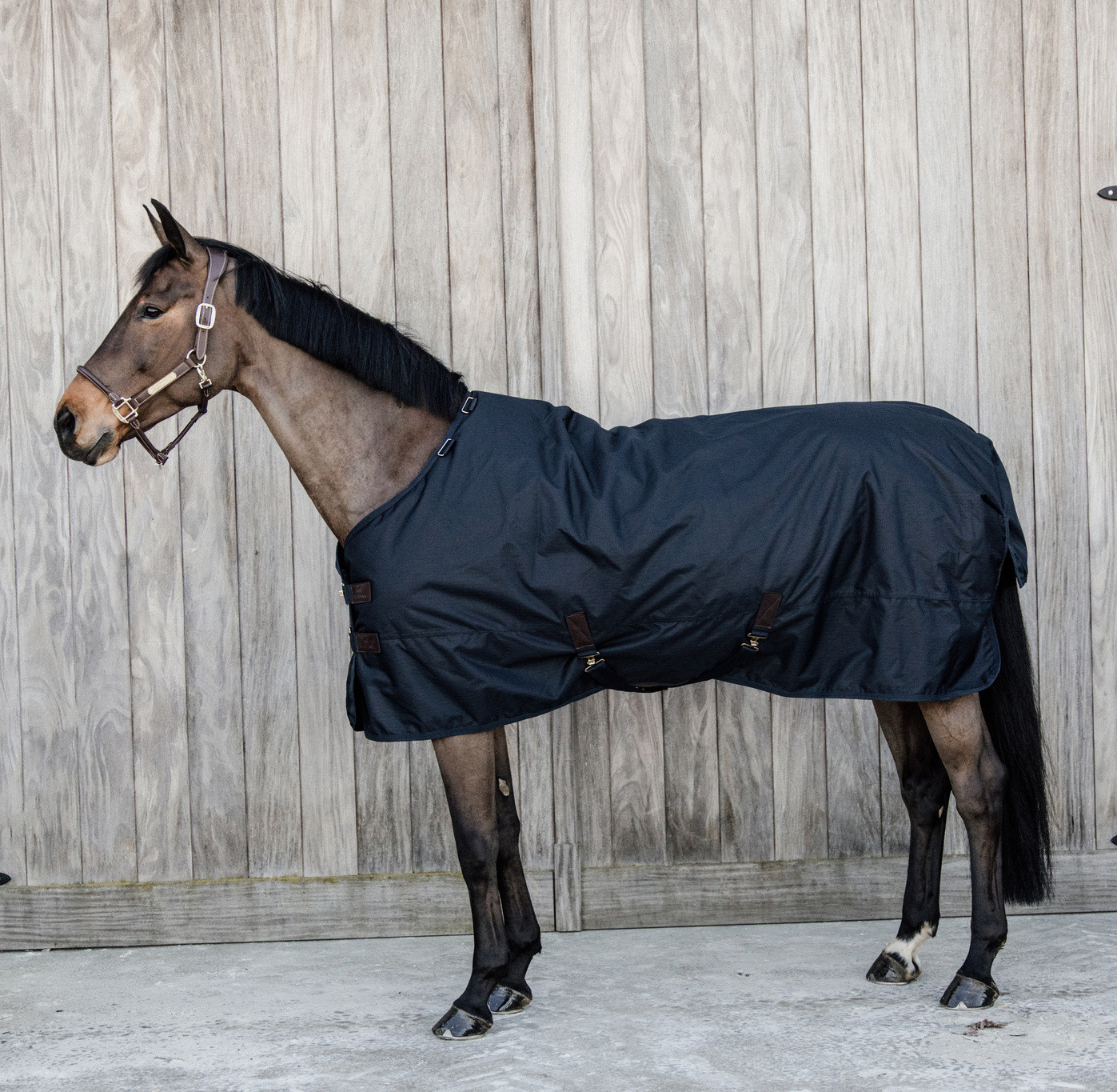Kentucky Turnout Rug All weather Waterproof Classic 50g