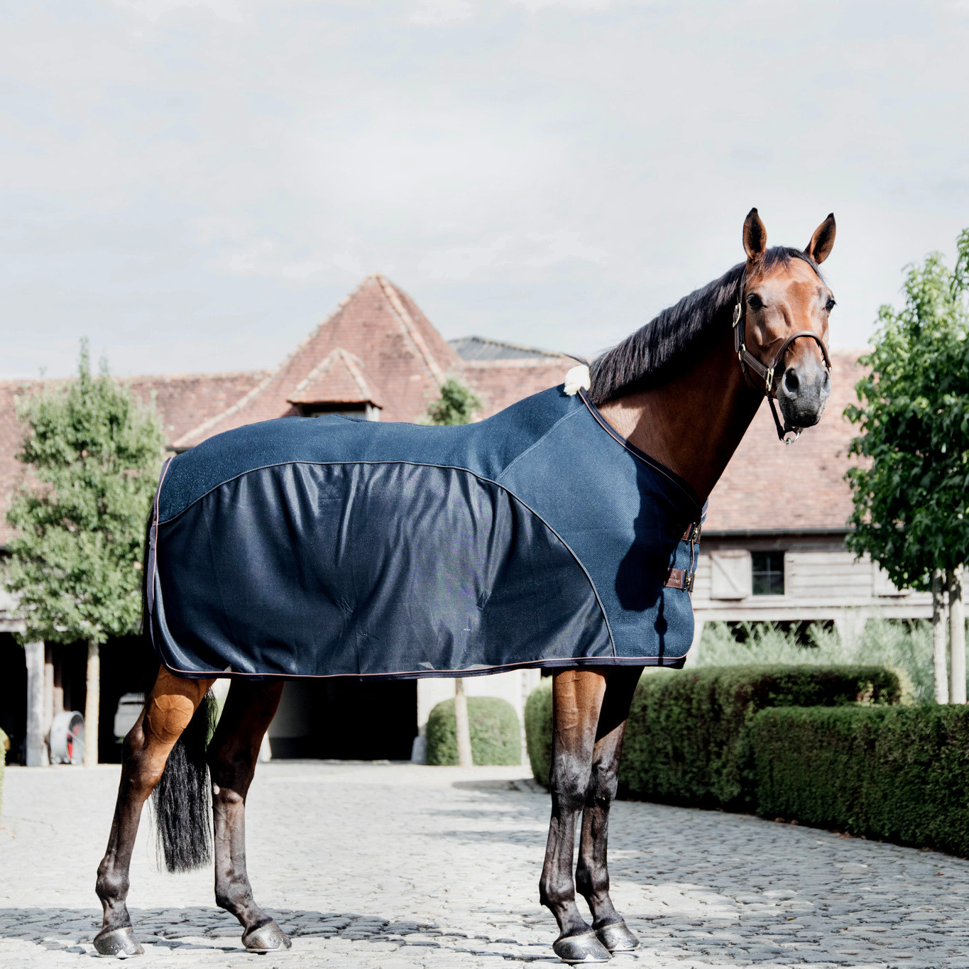 Kentucky Mesh Combo Cooler Rug