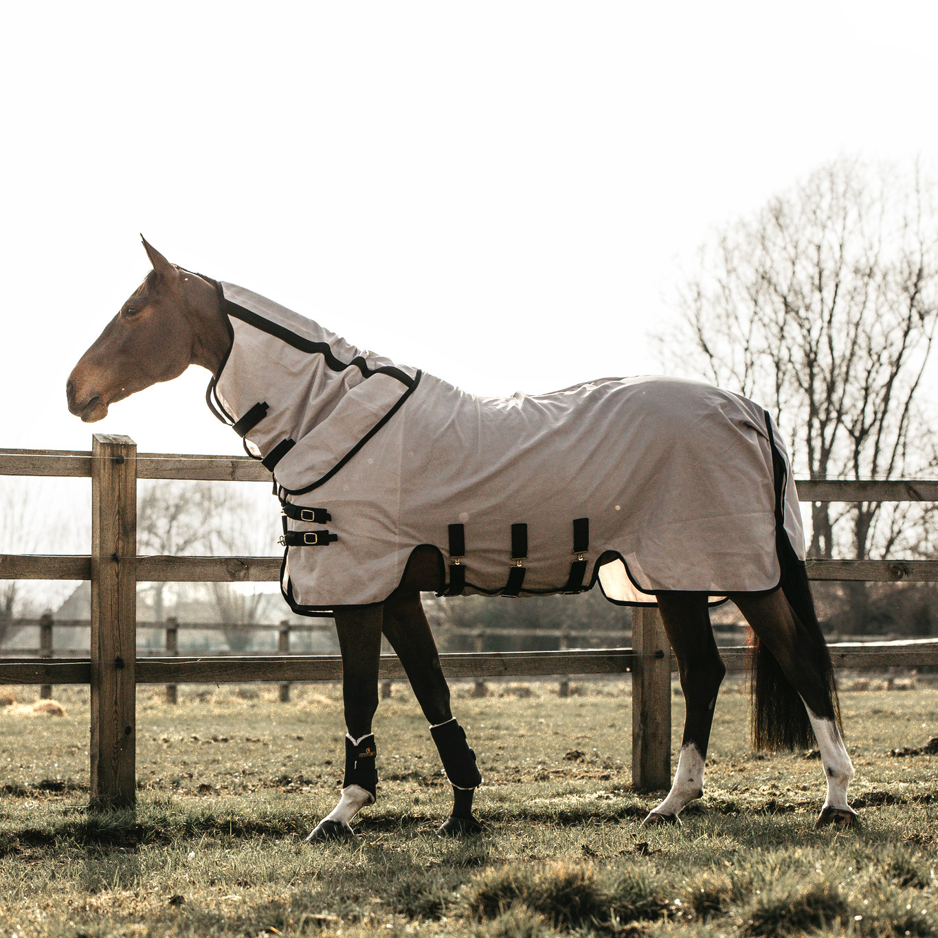 Kentucky Fly Rug Beige