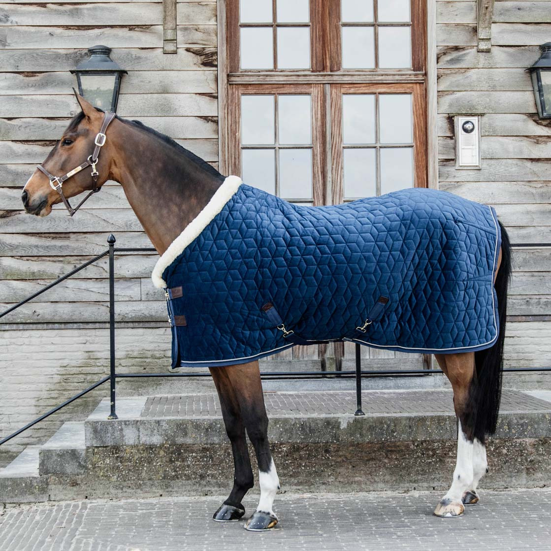 Kentucky Show Rug Velvet 160g Navy