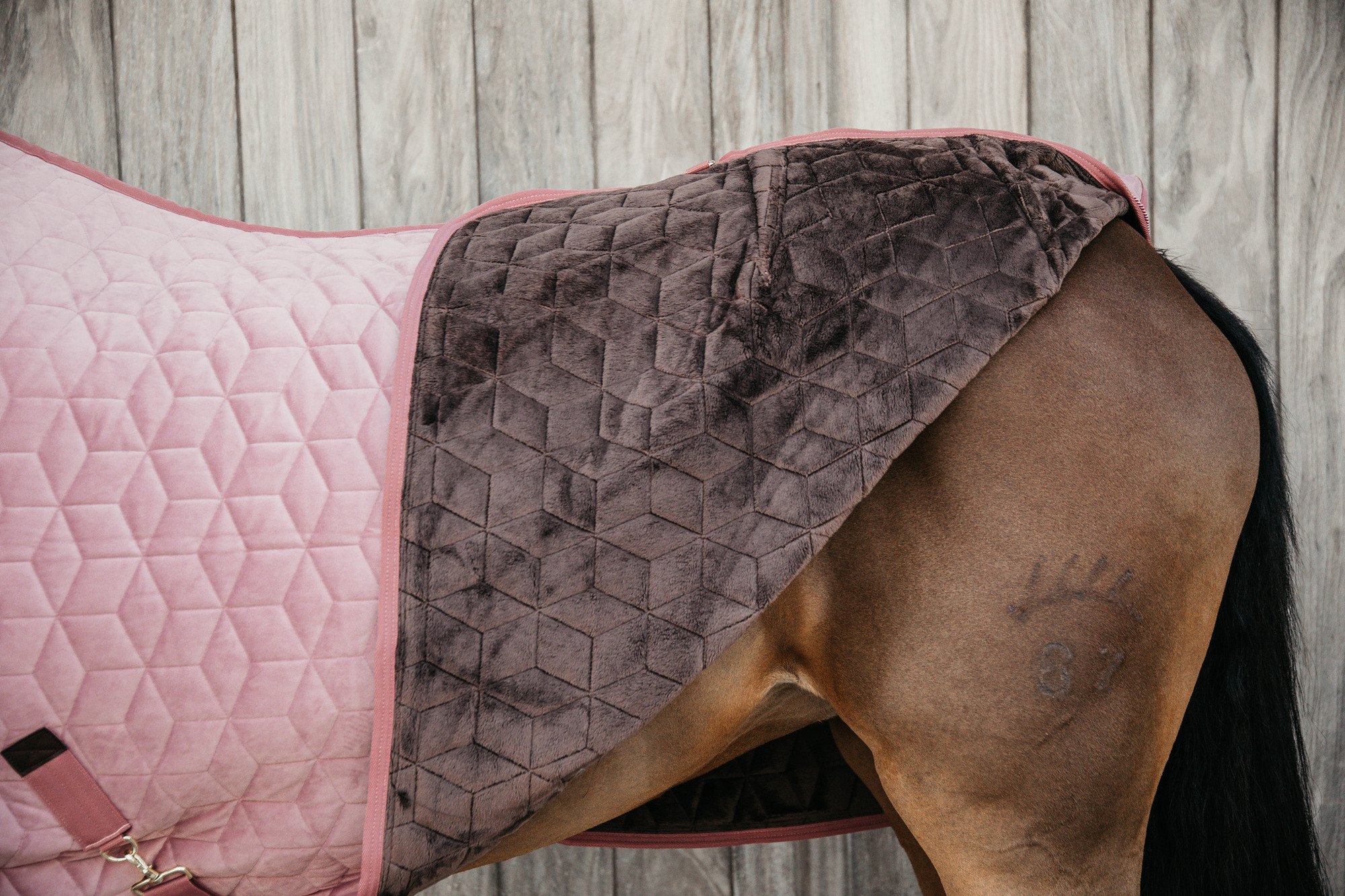Kentucky Show Rug Velvet 160g Old Rose