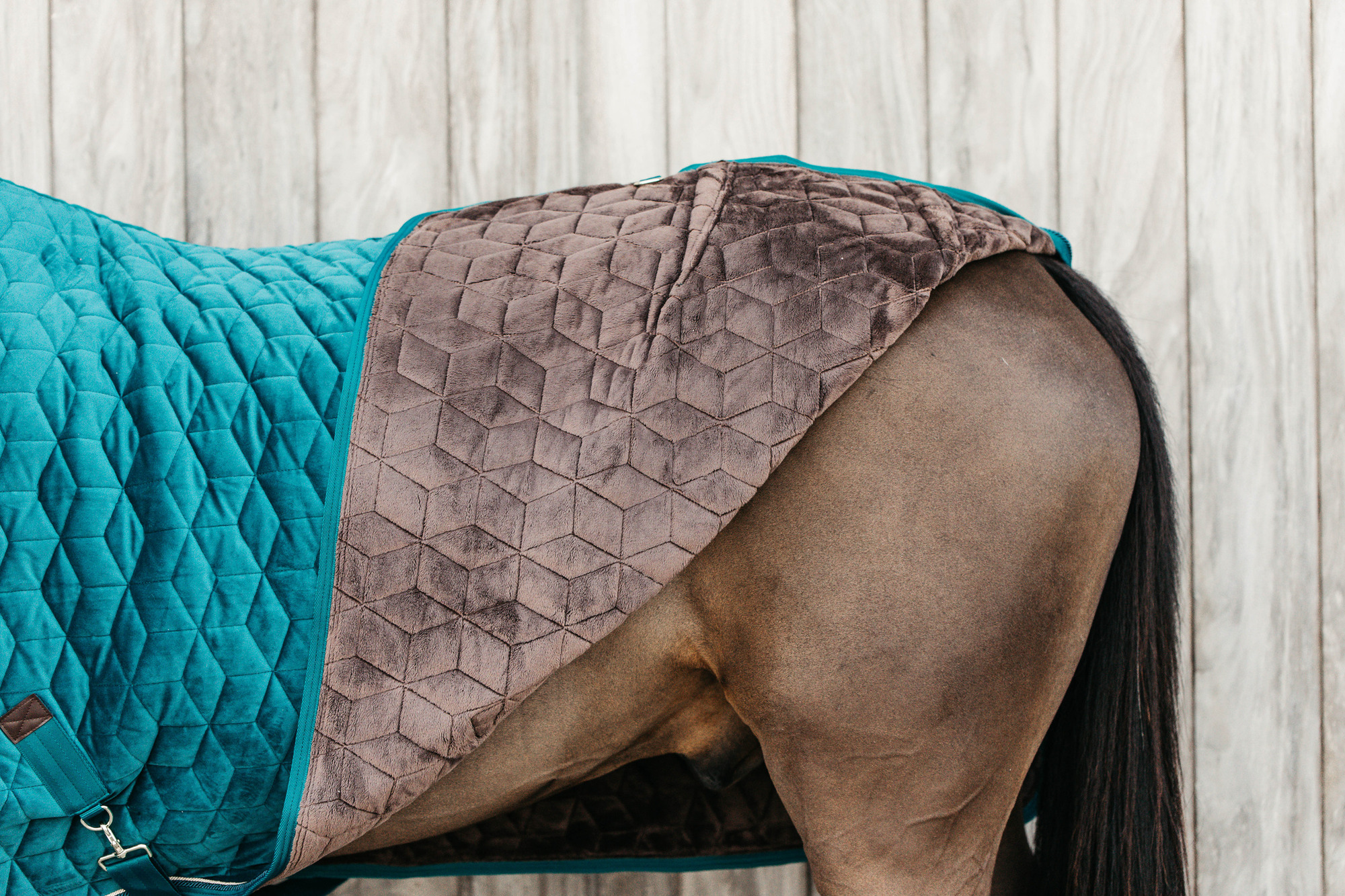 Kentucky Show Rug Velvet 160g Emerald