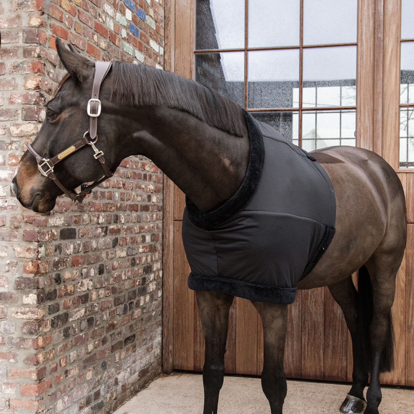 Kentucky Chest Protection