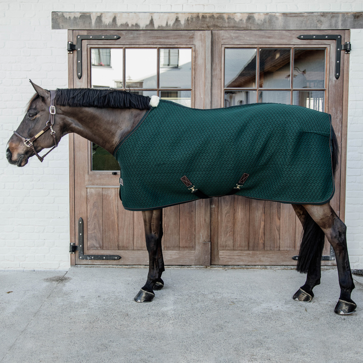 Kentucky Sweat Rug 4D Spacer