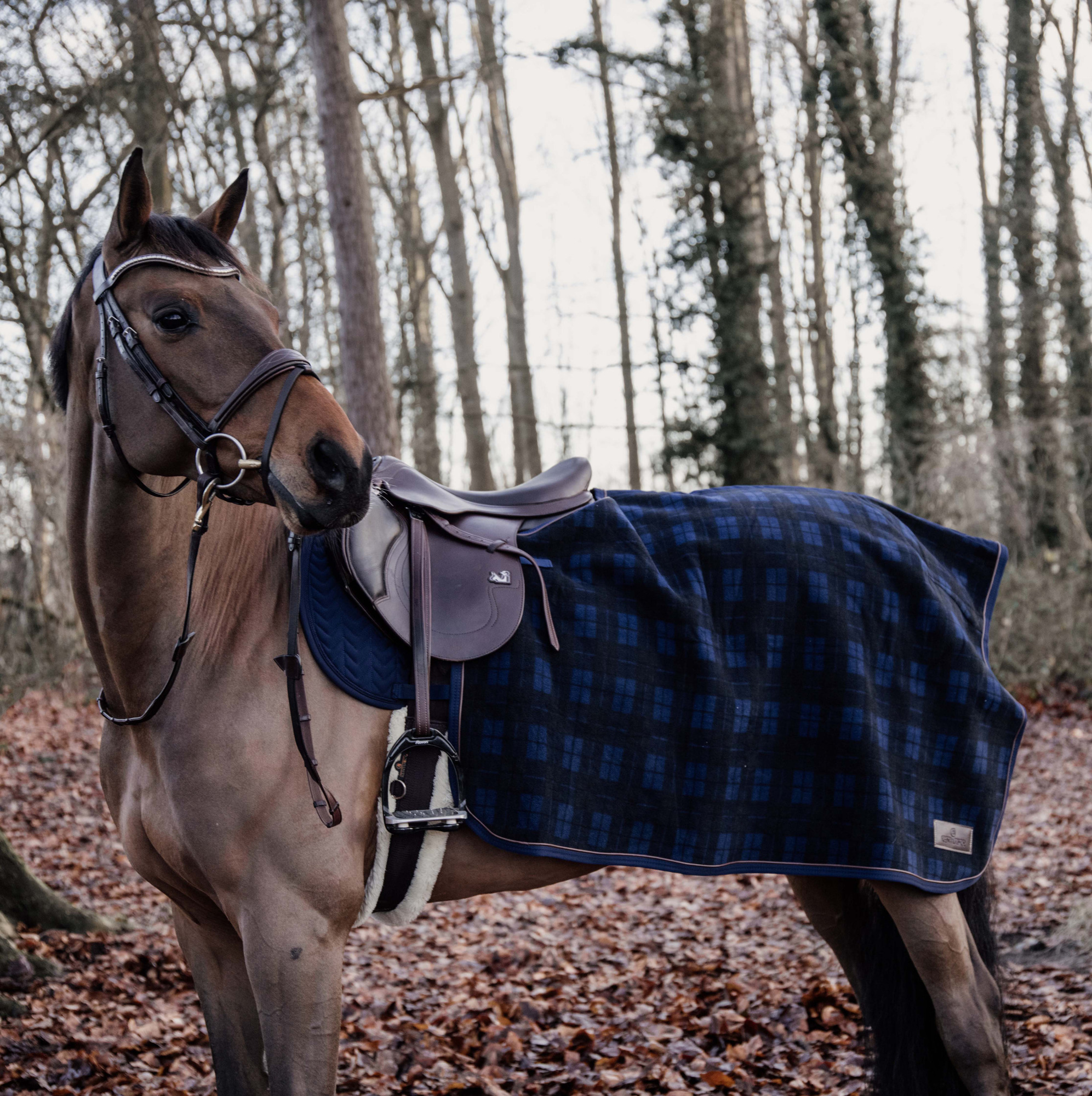 Kentucky Quarter Rug Heavy Fleece