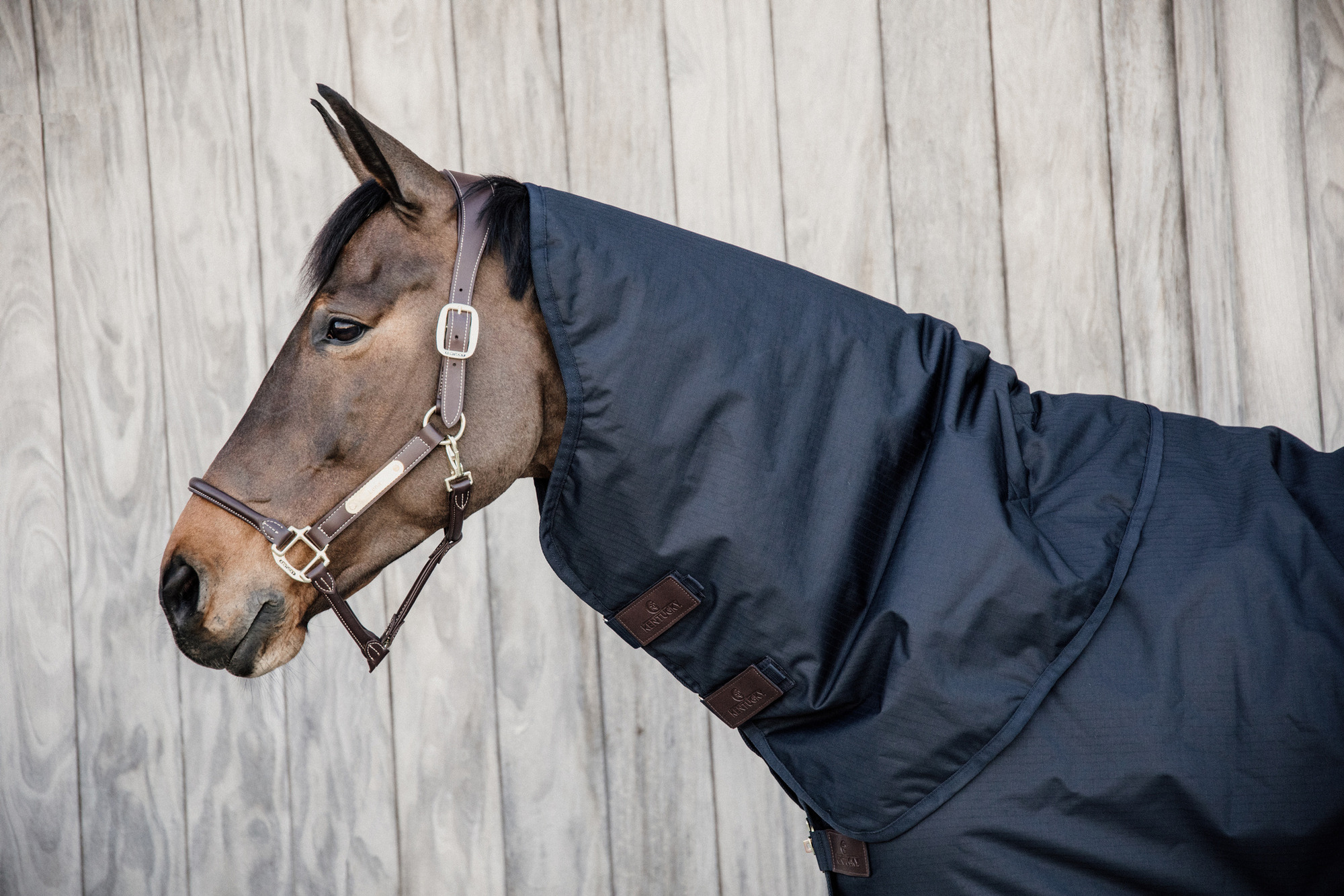 Kentucky Neck All Weather Waterproof Classic 0g