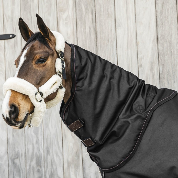 Kentucky Halsteil All Weather Wasserdicht Pro 0g Schwarz