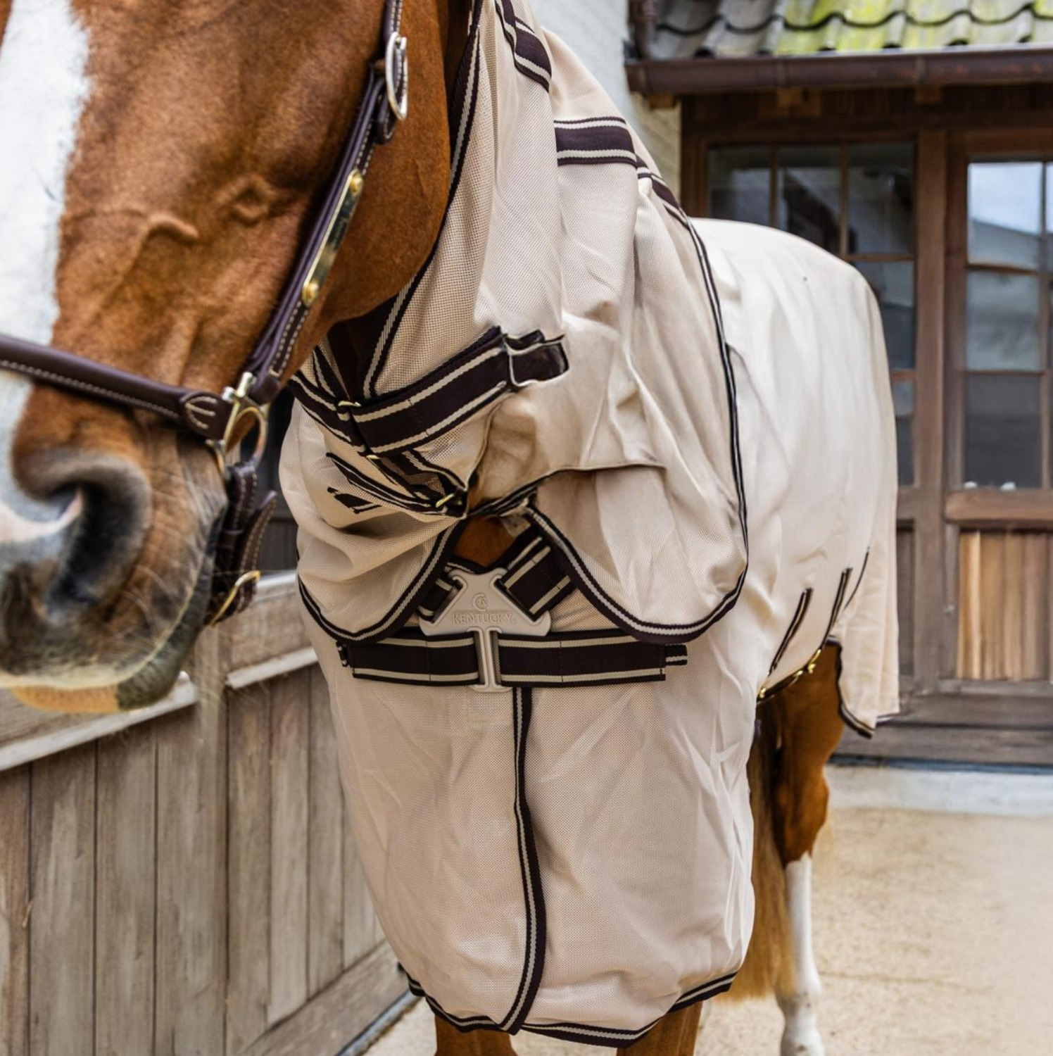 Kentucky Mesh Fly Rug Comfort