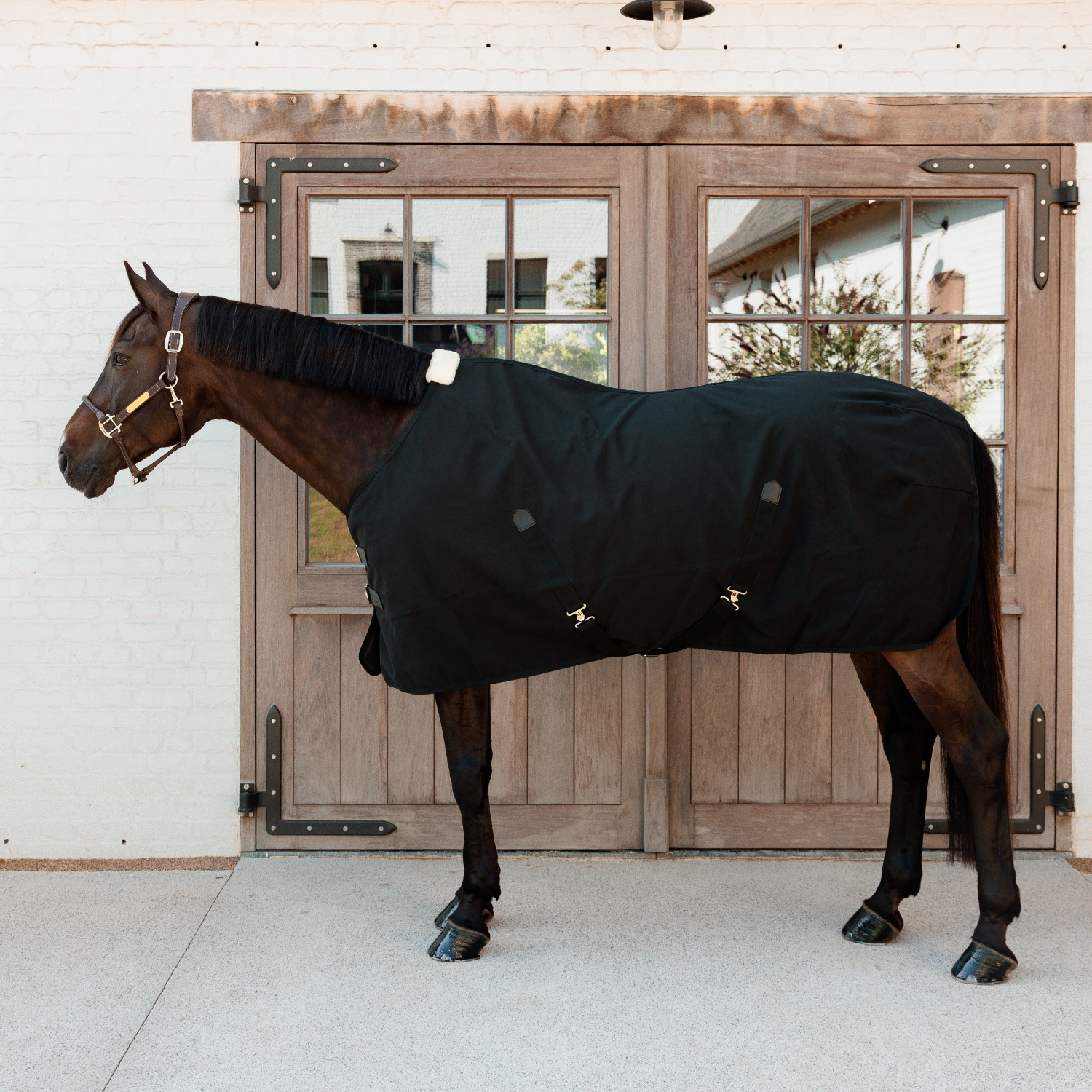 Kentucky Canvas Decke