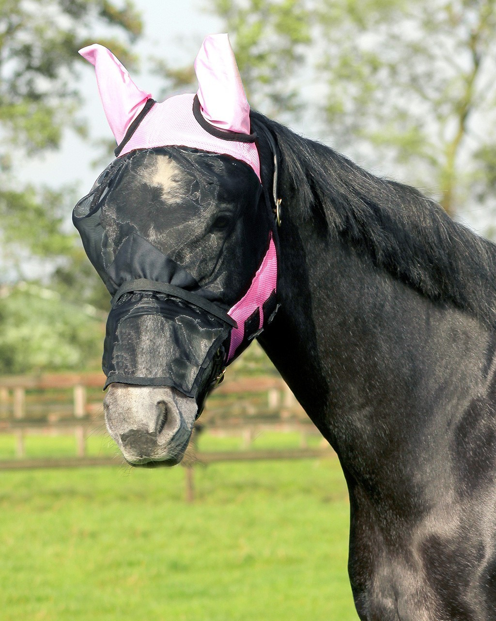 QHP Fly Mask with detachable nose flap