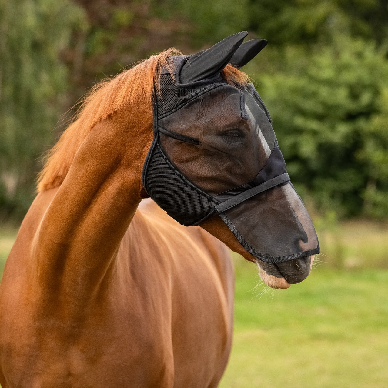 QHP Fly Mask with detachable nose flap