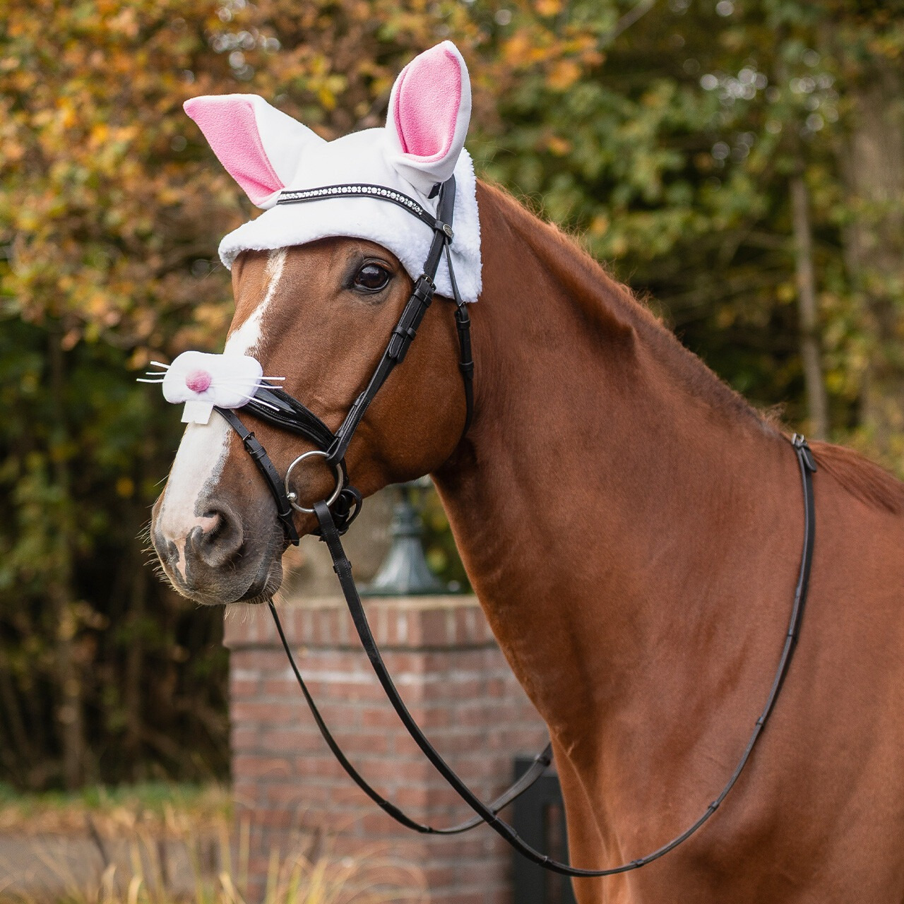 QHP Paashaas oren muts paard