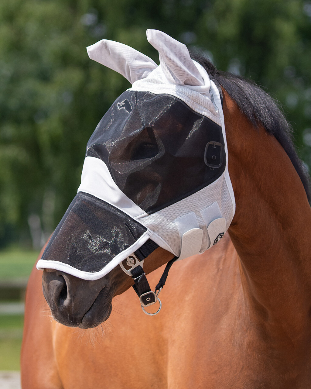 QHP Solaire Fly Veil
