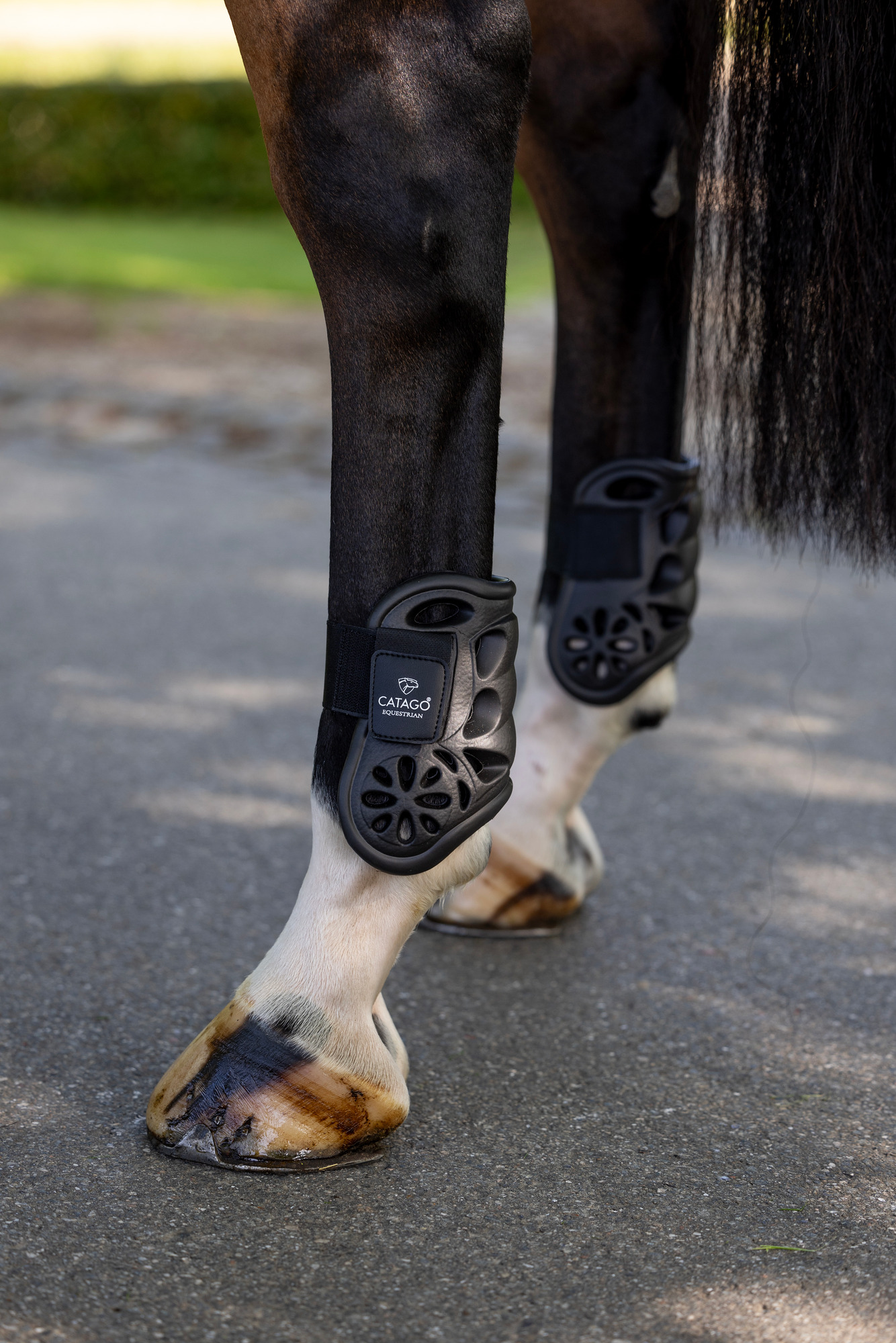 Catago Eva Fetlock boots