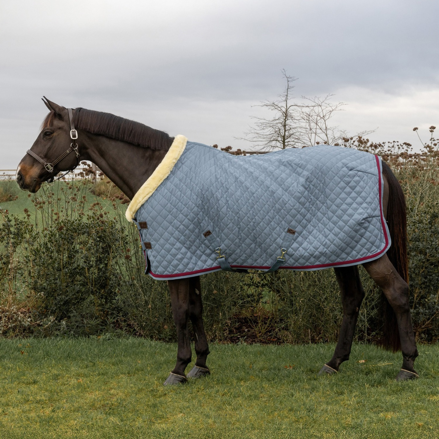 Kentucky Showdecke 160g Denim