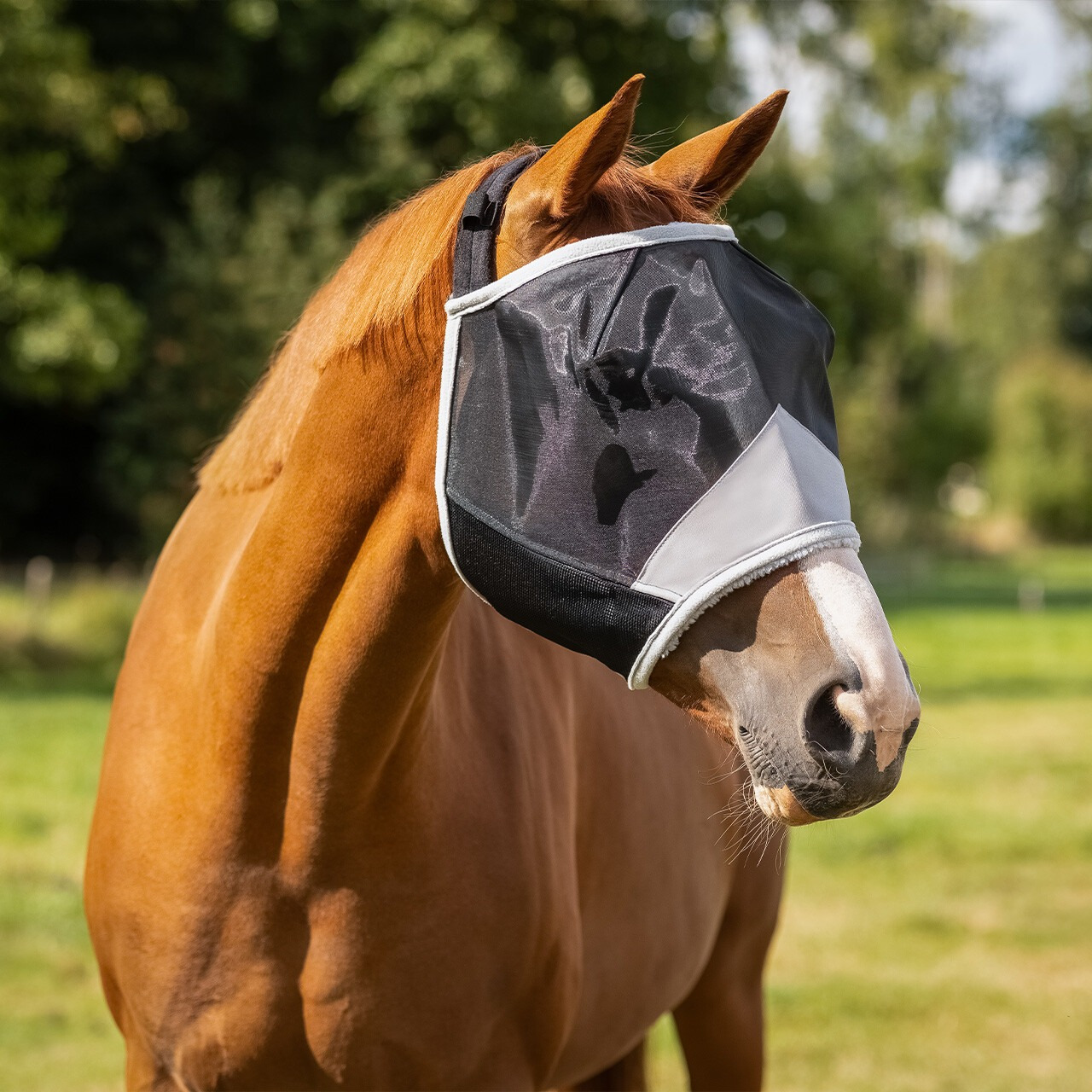 QHP Solaire Fly Mask without ears