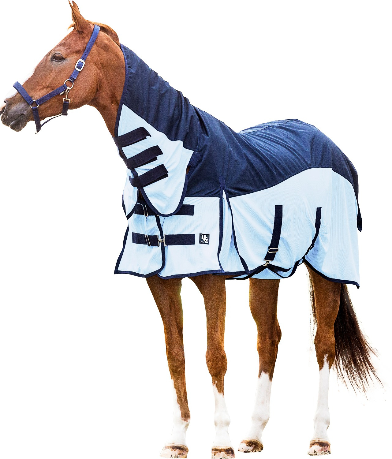 Horseguard Regen-Fliegendecke Aiman