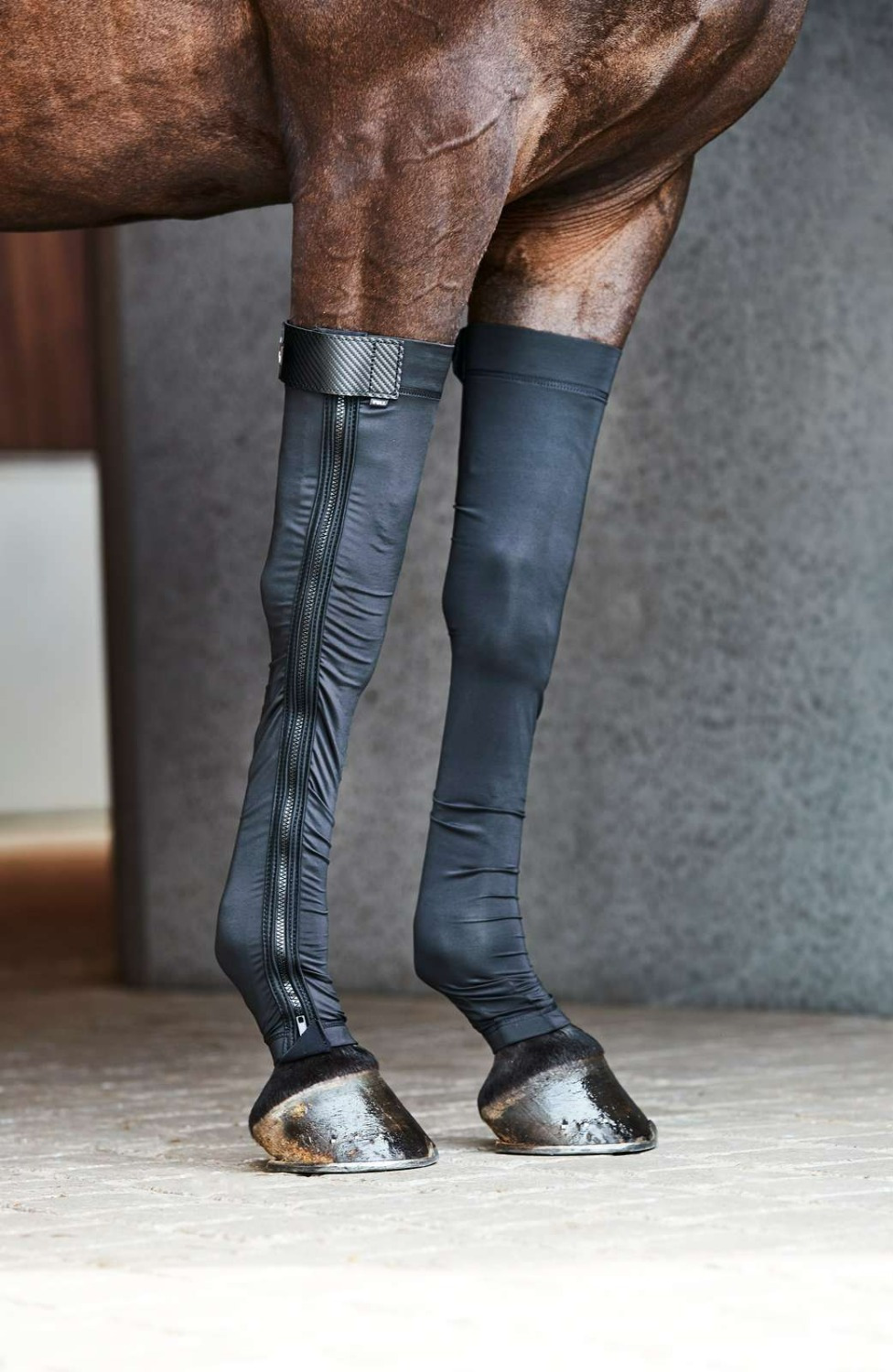 Catago FIR-Tech Stocking for Front Legs