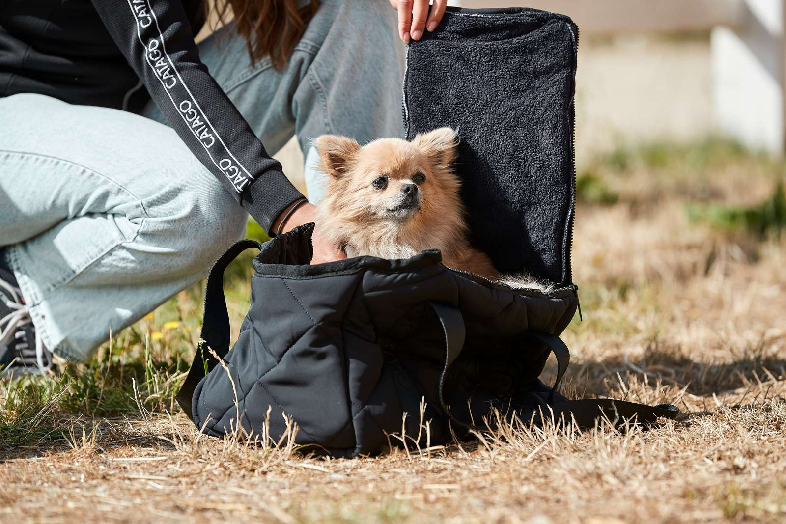 Catago SS'23 Dog Bag