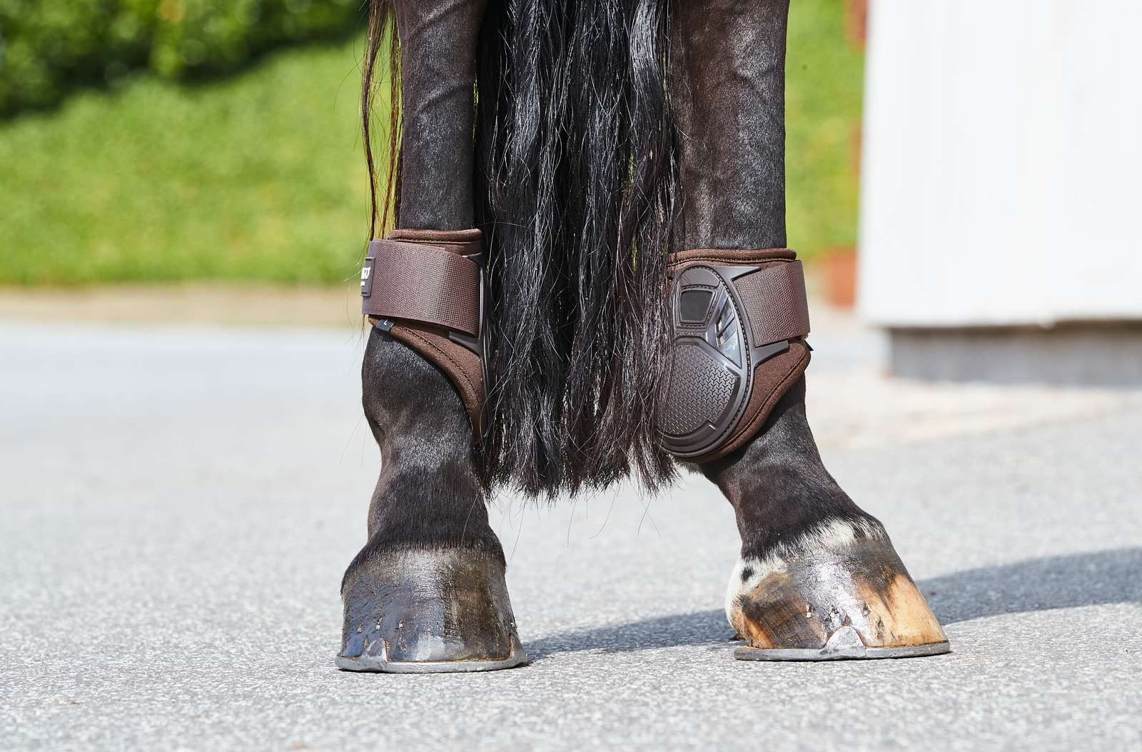 Catago Young Horse Fetlock Boots