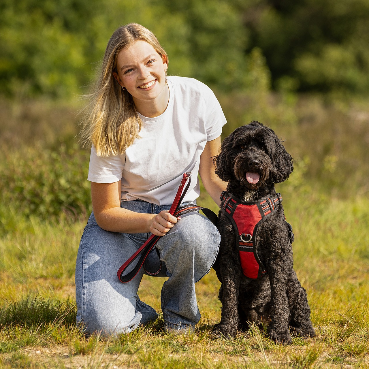 QHP SS26 Dog leash collection