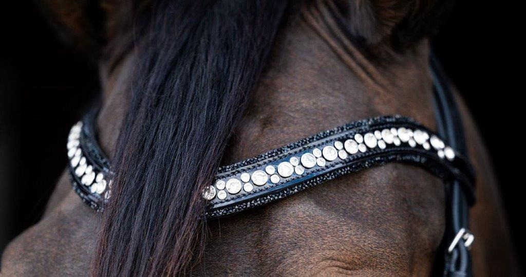 HB Showtime Browband To Nice