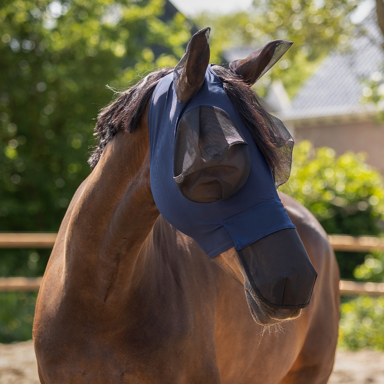 QHP Super Bug fly mask with nose protection
