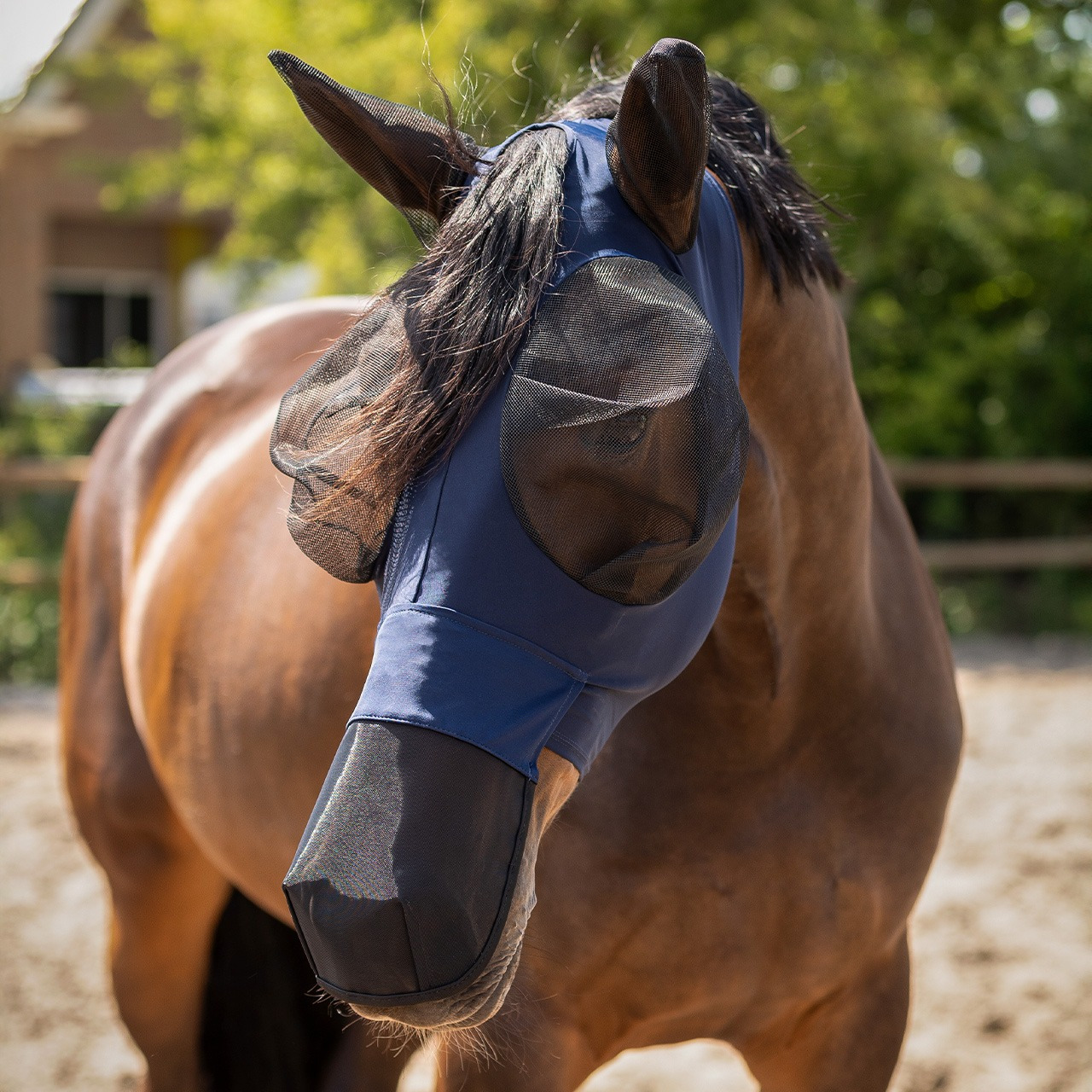 QHP Super Bug fly mask with nose protection