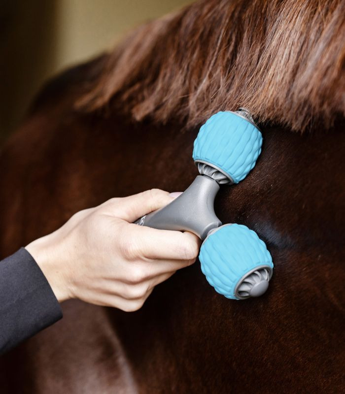 Waldhausen Health + Care Massage-Roller Comfort Creator