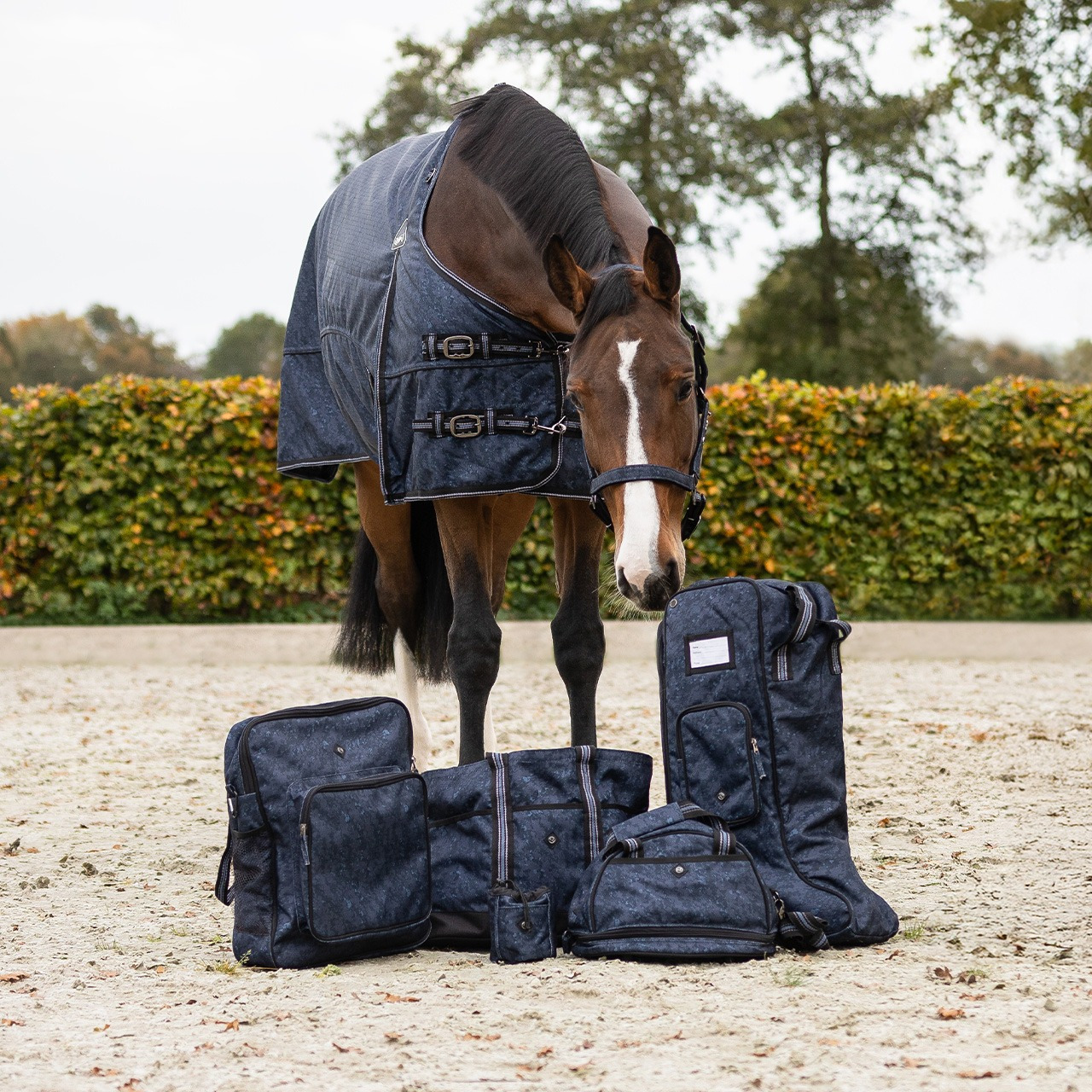QHP FW26 Staltas collection