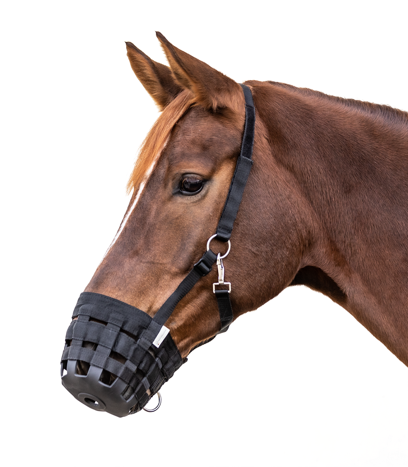 Waldhausen Grazing Muzzle