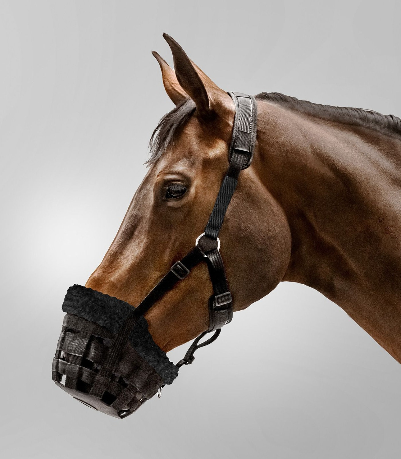 Waldhausen Muzzle Comfort
