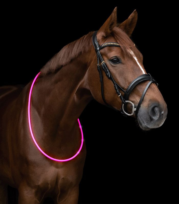 Waldhausen LED collar