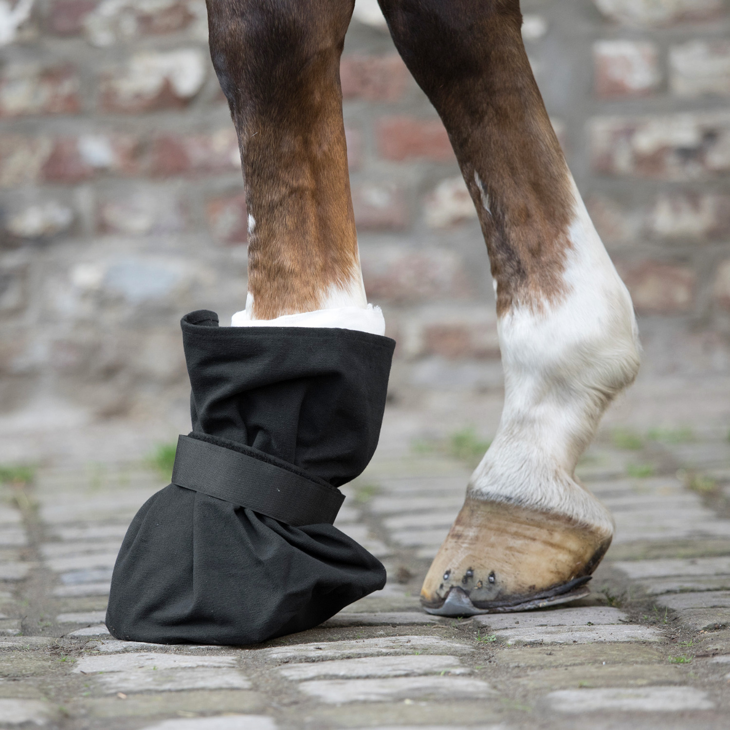 Waldhausen Hoof Bandage Protector